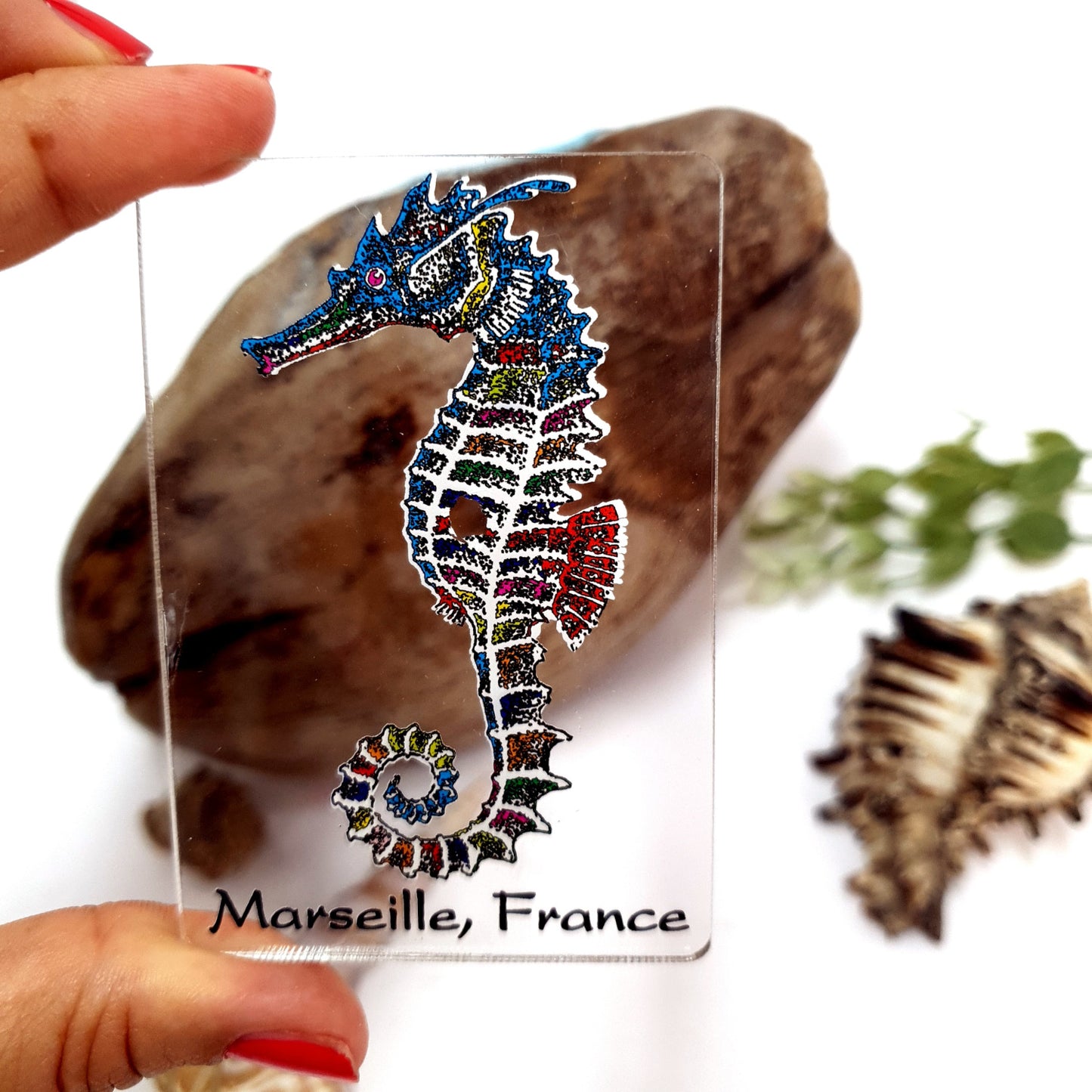 Seahorse Acrylic Fridge Magnet