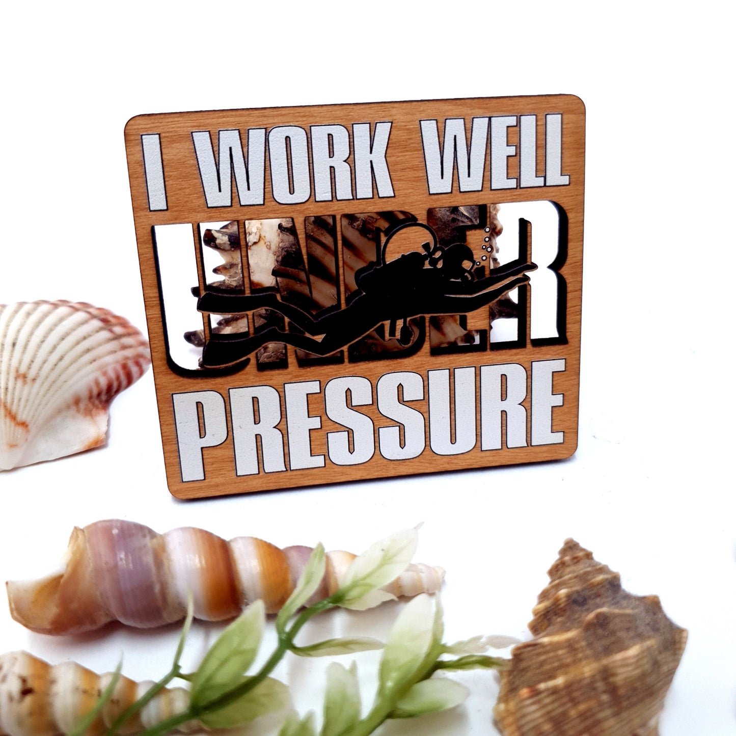 Work Well Under Pressure Dive Magnet